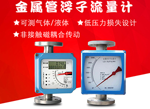 液體防腐流量計